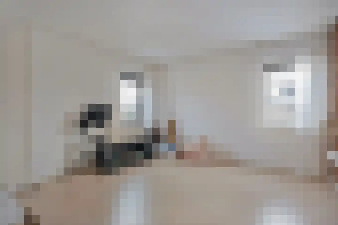 Vriesenhof 15 Dalfsen thumbnail 36