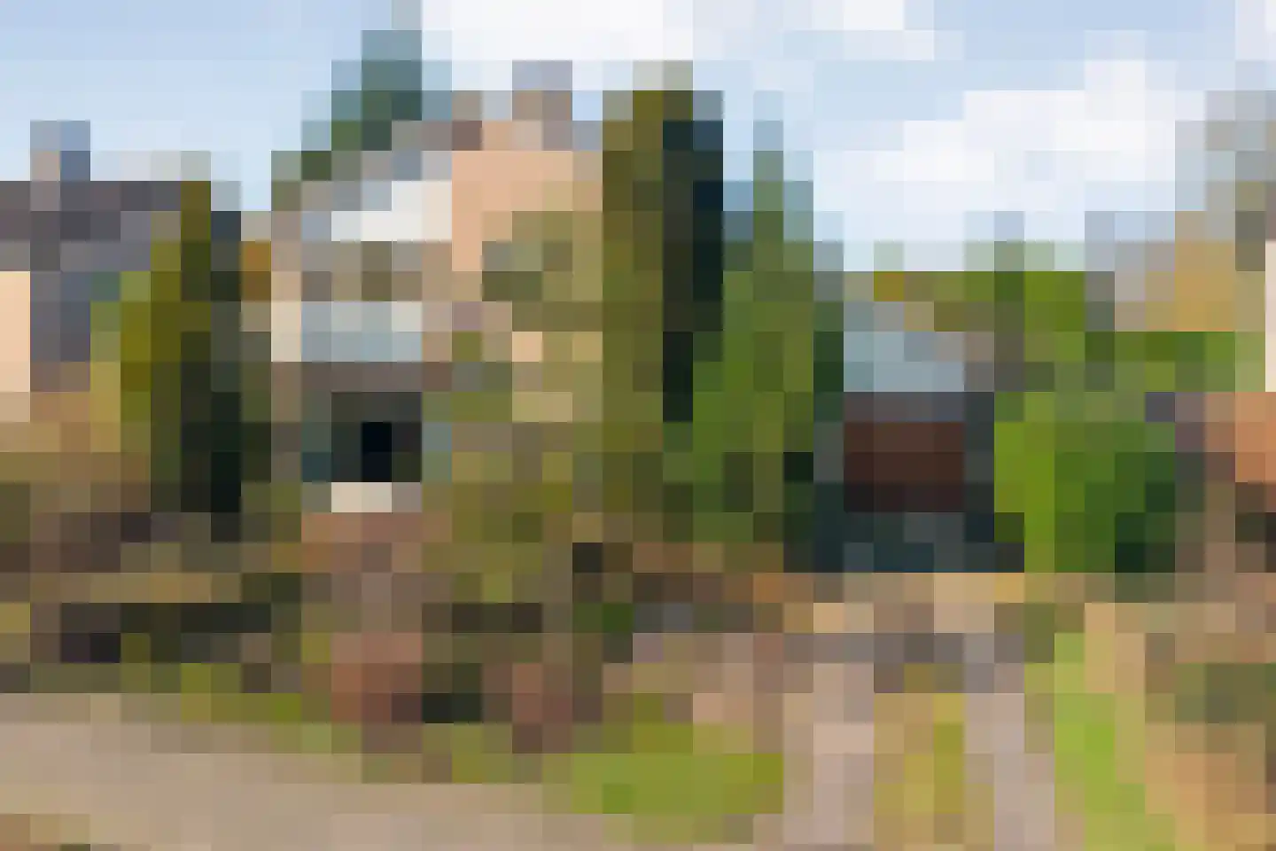 Vriesenhof 15 Dalfsen thumbnail 4