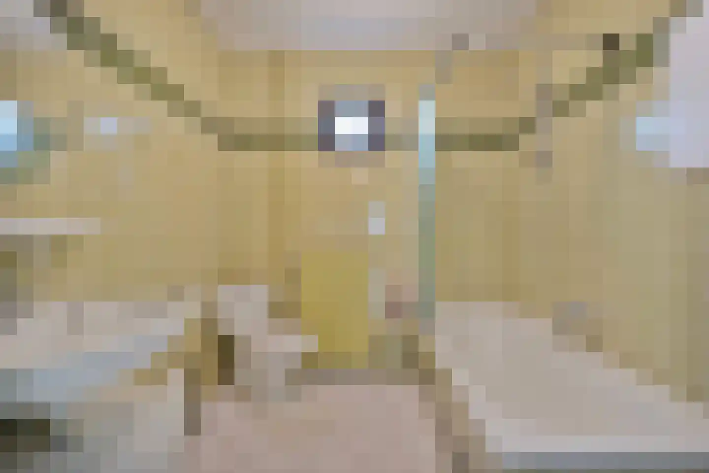 Vriesenhof 15 Dalfsen thumbnail 40