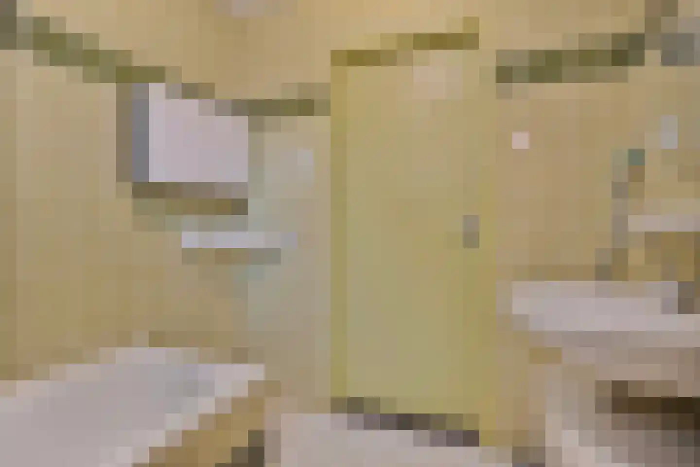 Vriesenhof 15 Dalfsen thumbnail 41