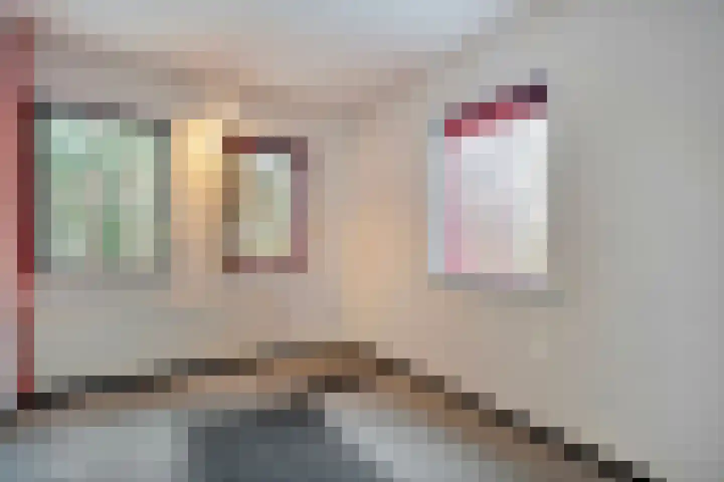 Vriesenhof 15 Dalfsen thumbnail 42