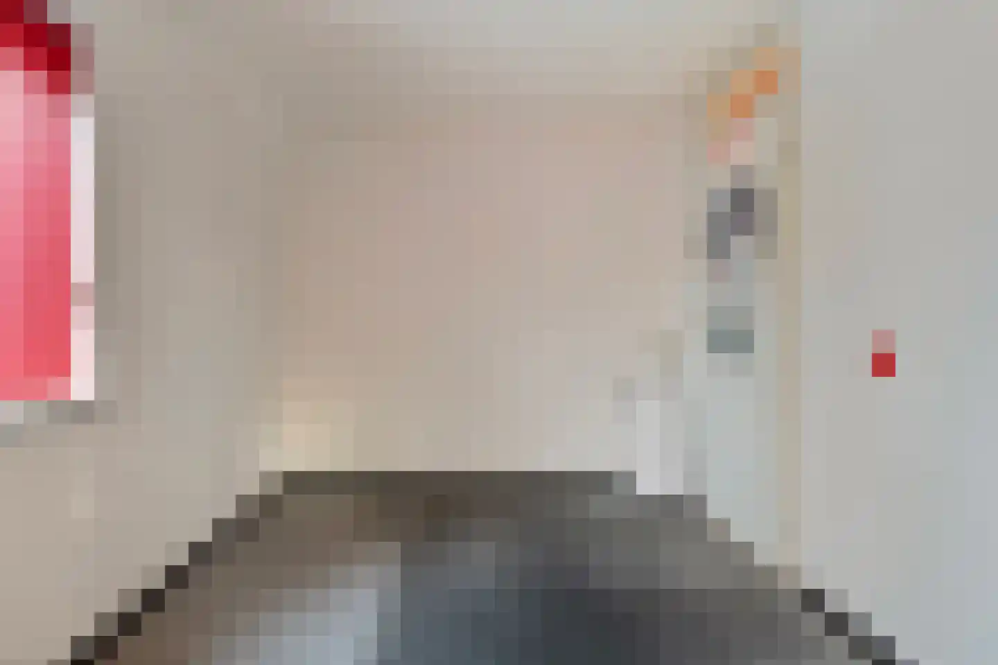 Vriesenhof 15 Dalfsen thumbnail 43