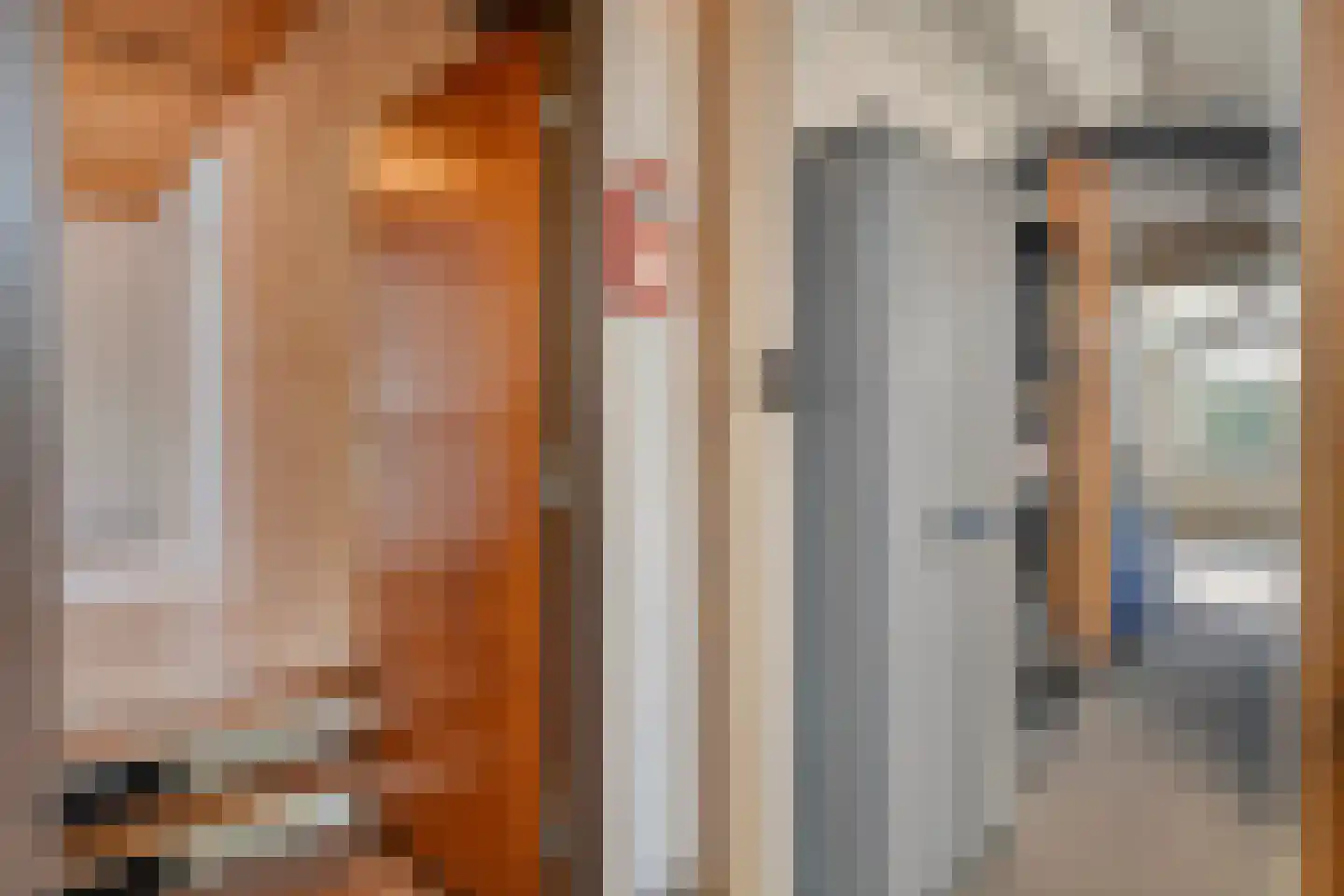 Vriesenhof 15 Dalfsen thumbnail 47
