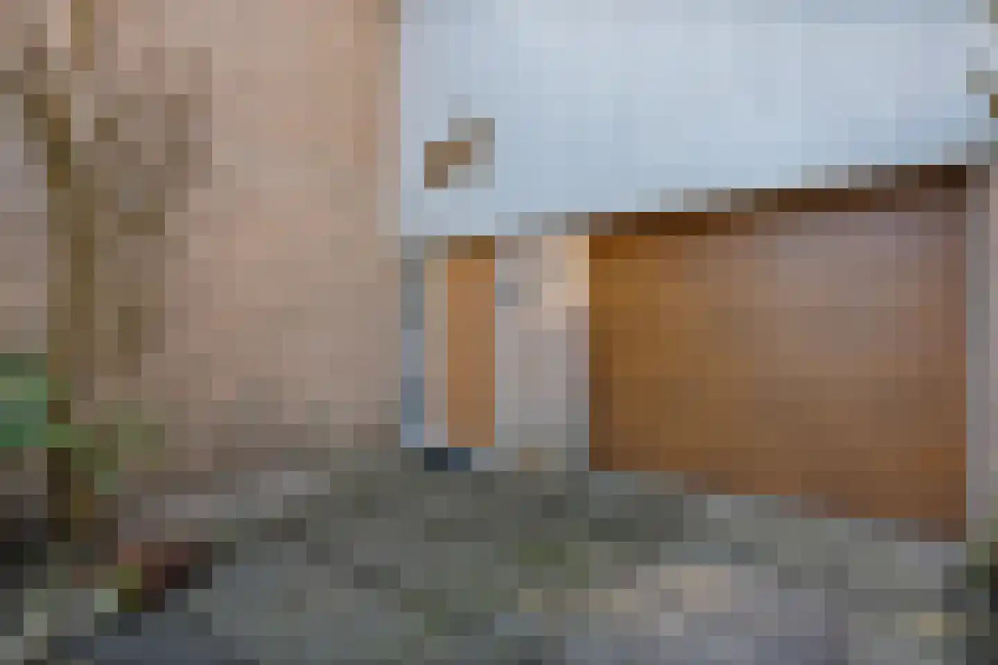 Vriesenhof 15 Dalfsen thumbnail 5