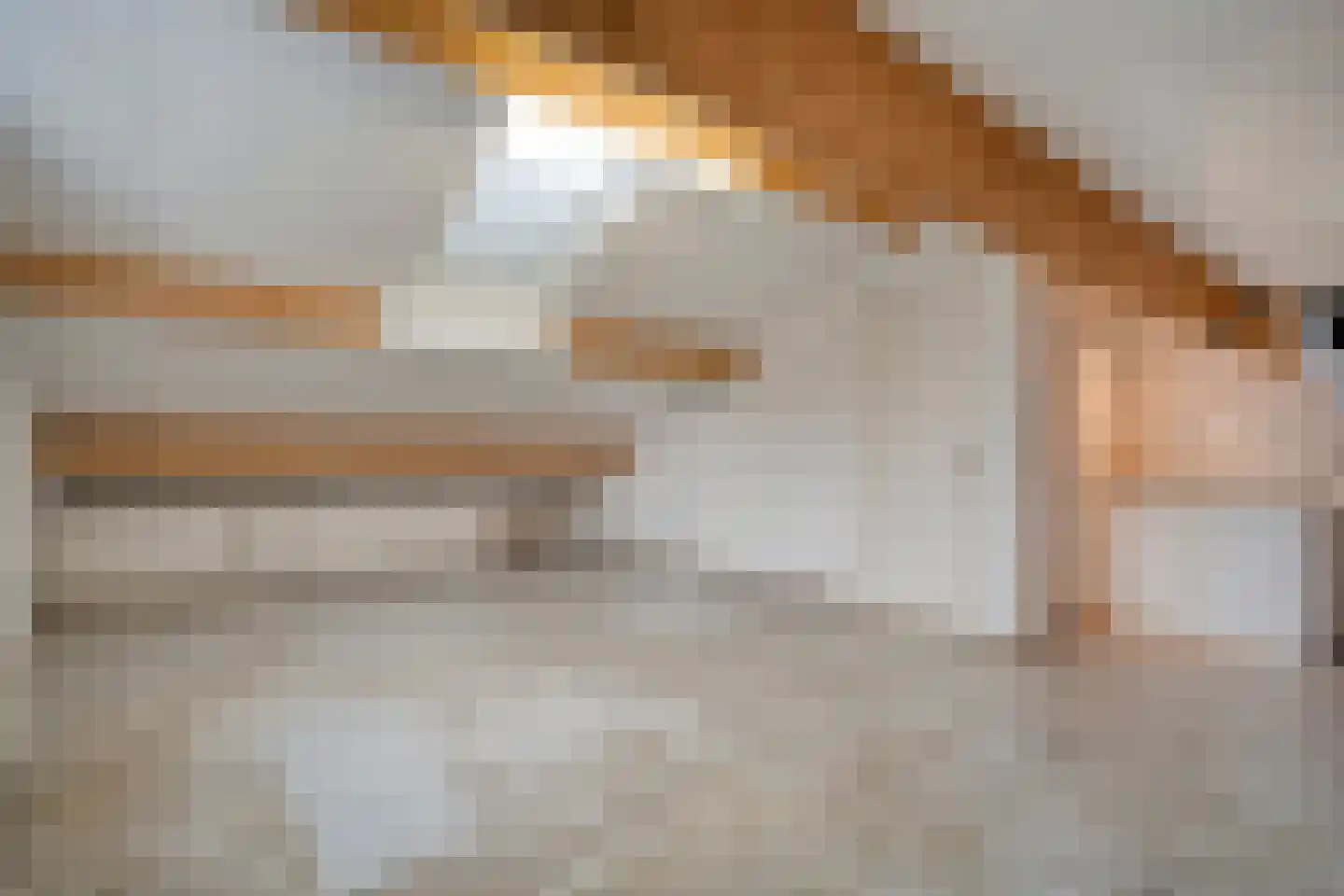 Vriesenhof 15 Dalfsen thumbnail 51