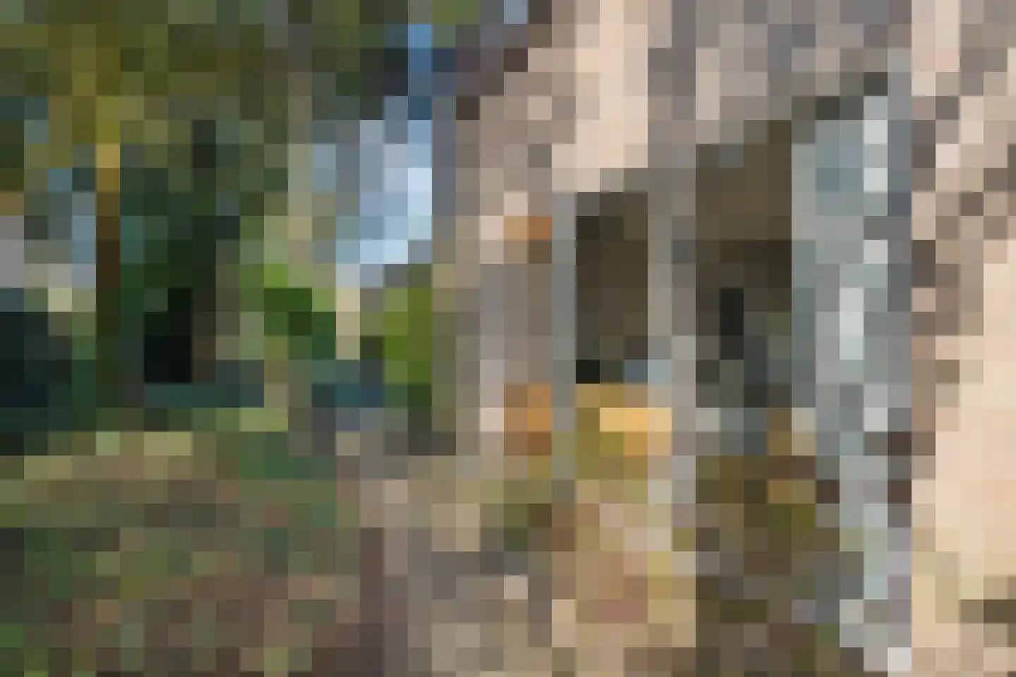 Vriesenhof 15 Dalfsen thumbnail 52