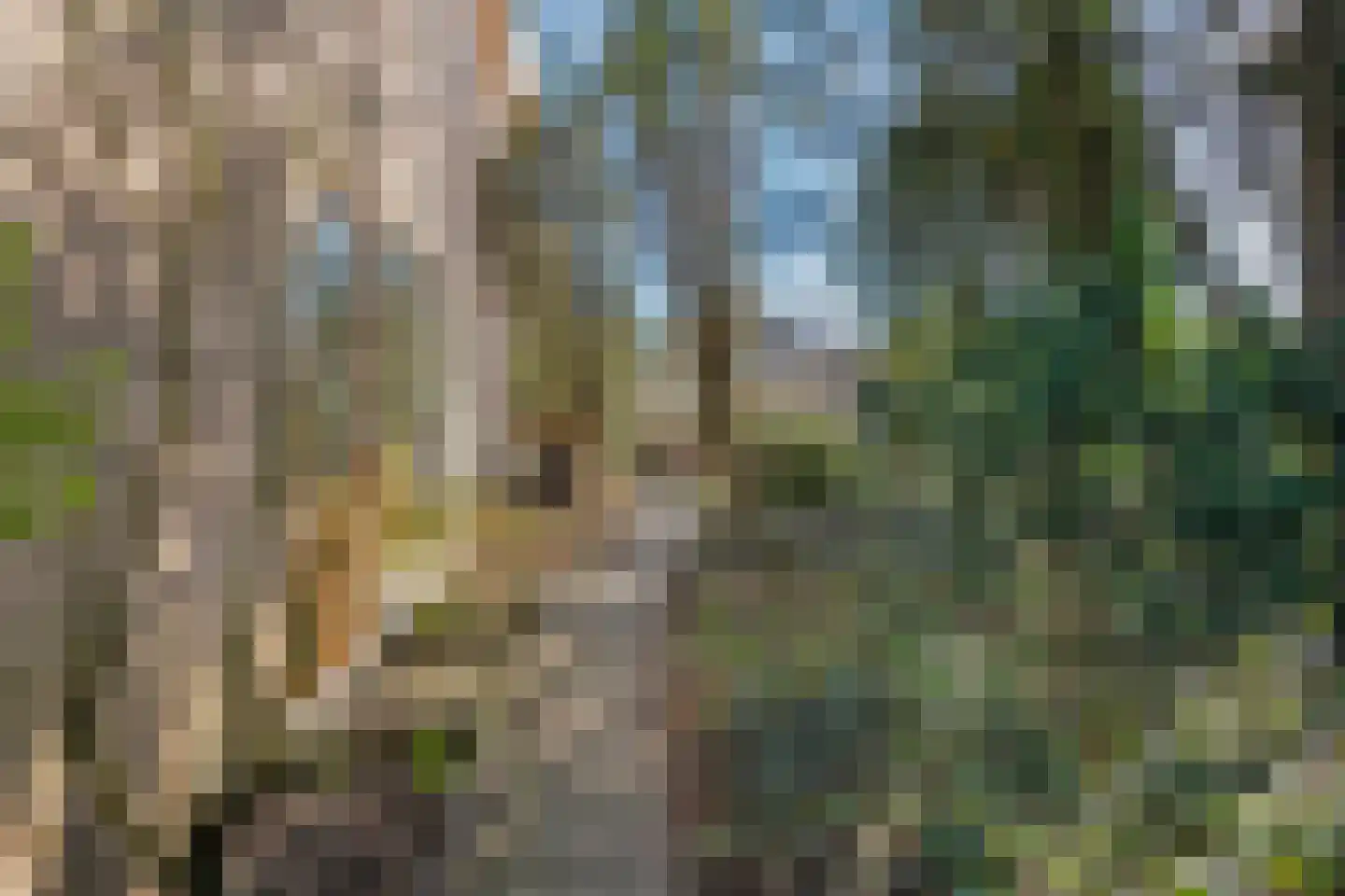 Vriesenhof 15 Dalfsen thumbnail 53