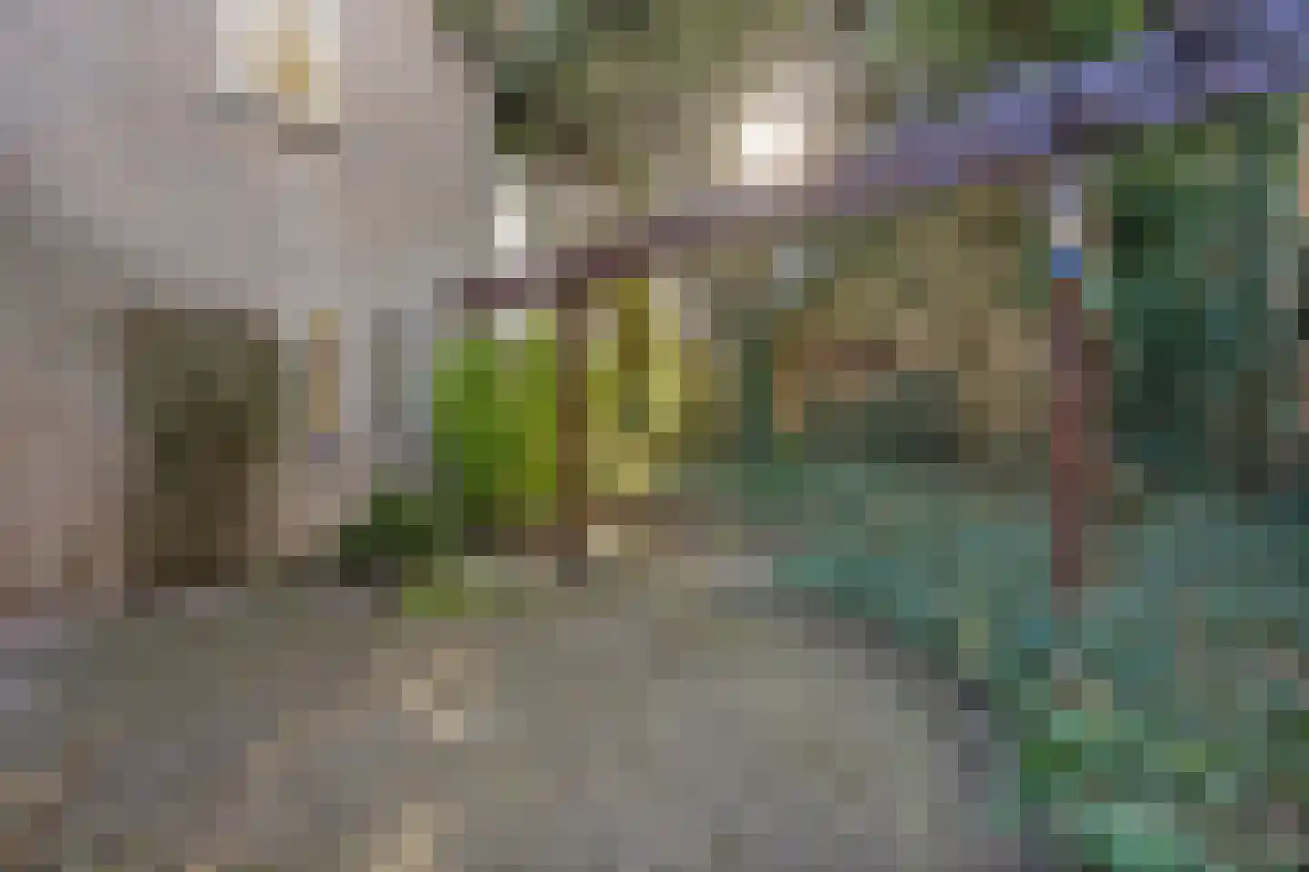 Vriesenhof 15 Dalfsen thumbnail 54