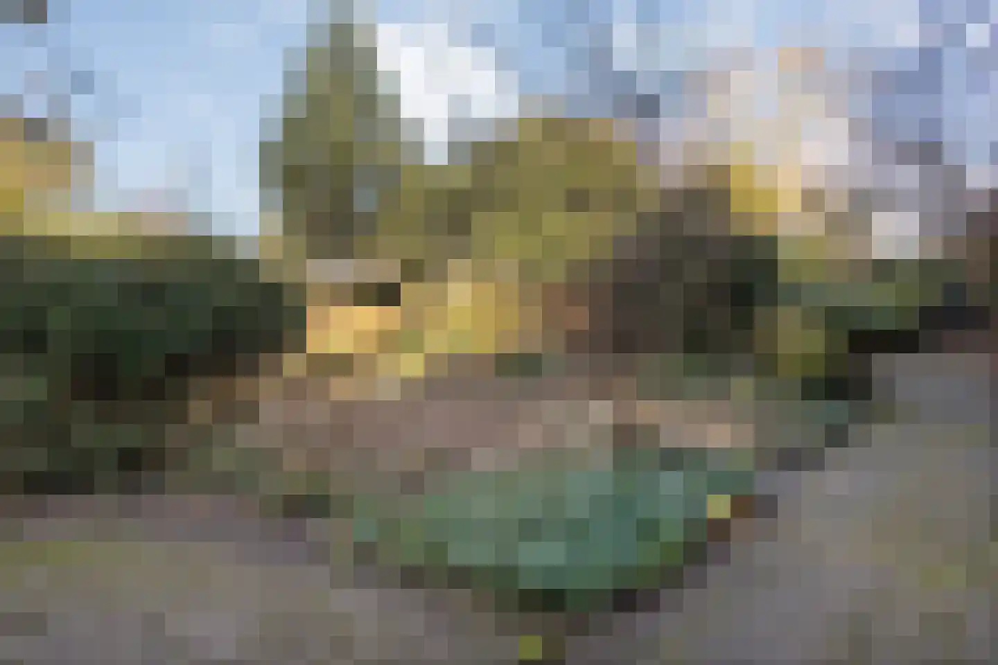 Vriesenhof 15 Dalfsen thumbnail 57