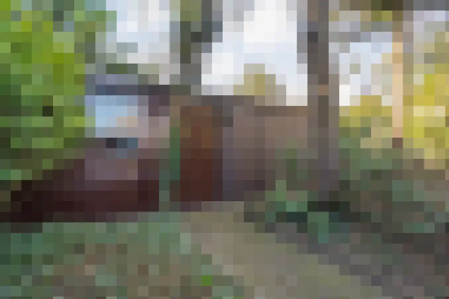 Vriesenhof 15 Dalfsen thumbnail 58
