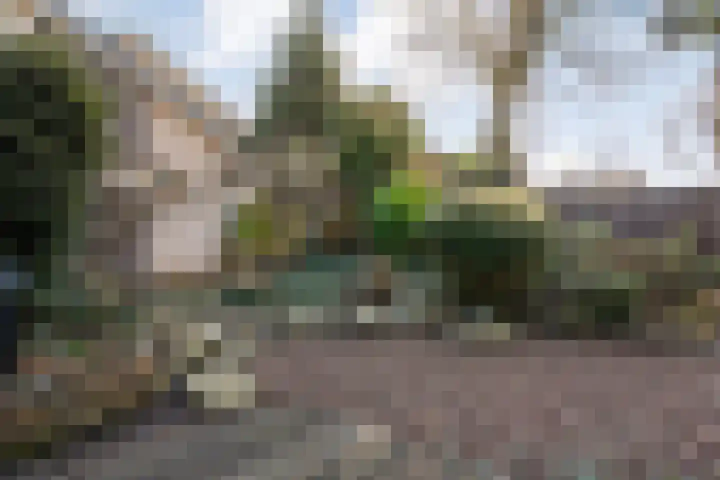 Vriesenhof 15 Dalfsen thumbnail 59