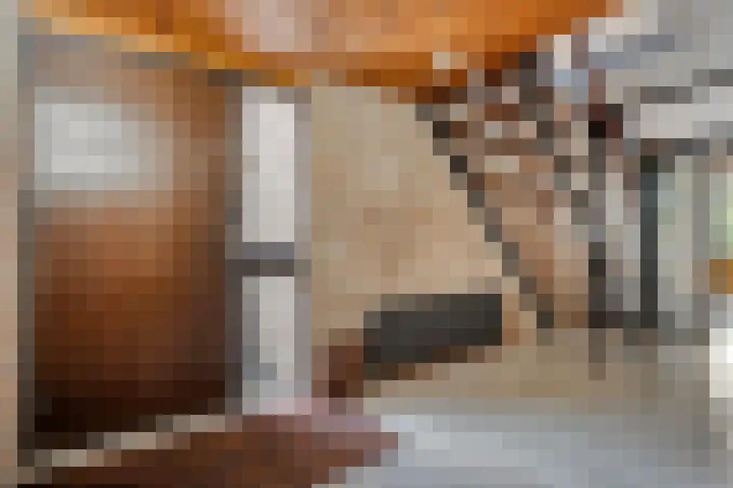 Vriesenhof 15 Dalfsen thumbnail 6