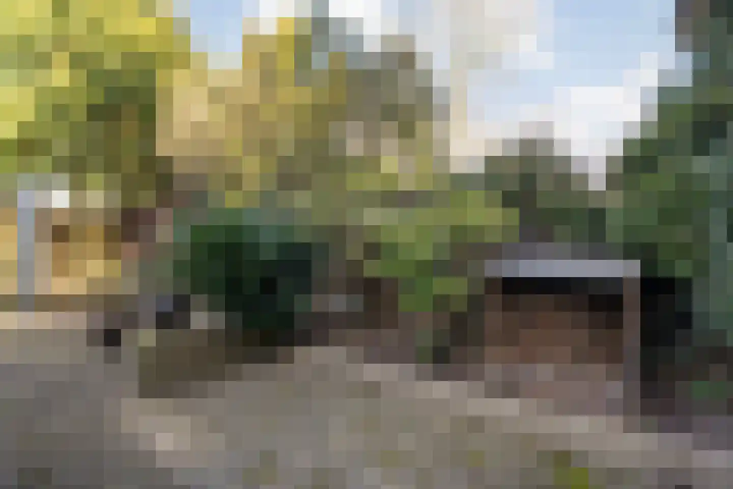 Vriesenhof 15 Dalfsen thumbnail 61