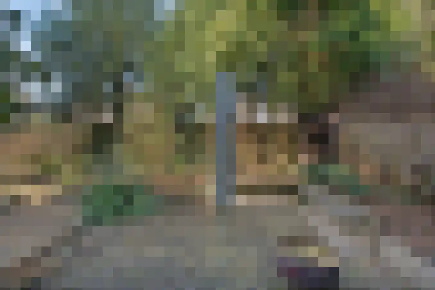 Vriesenhof 15 Dalfsen thumbnail 62