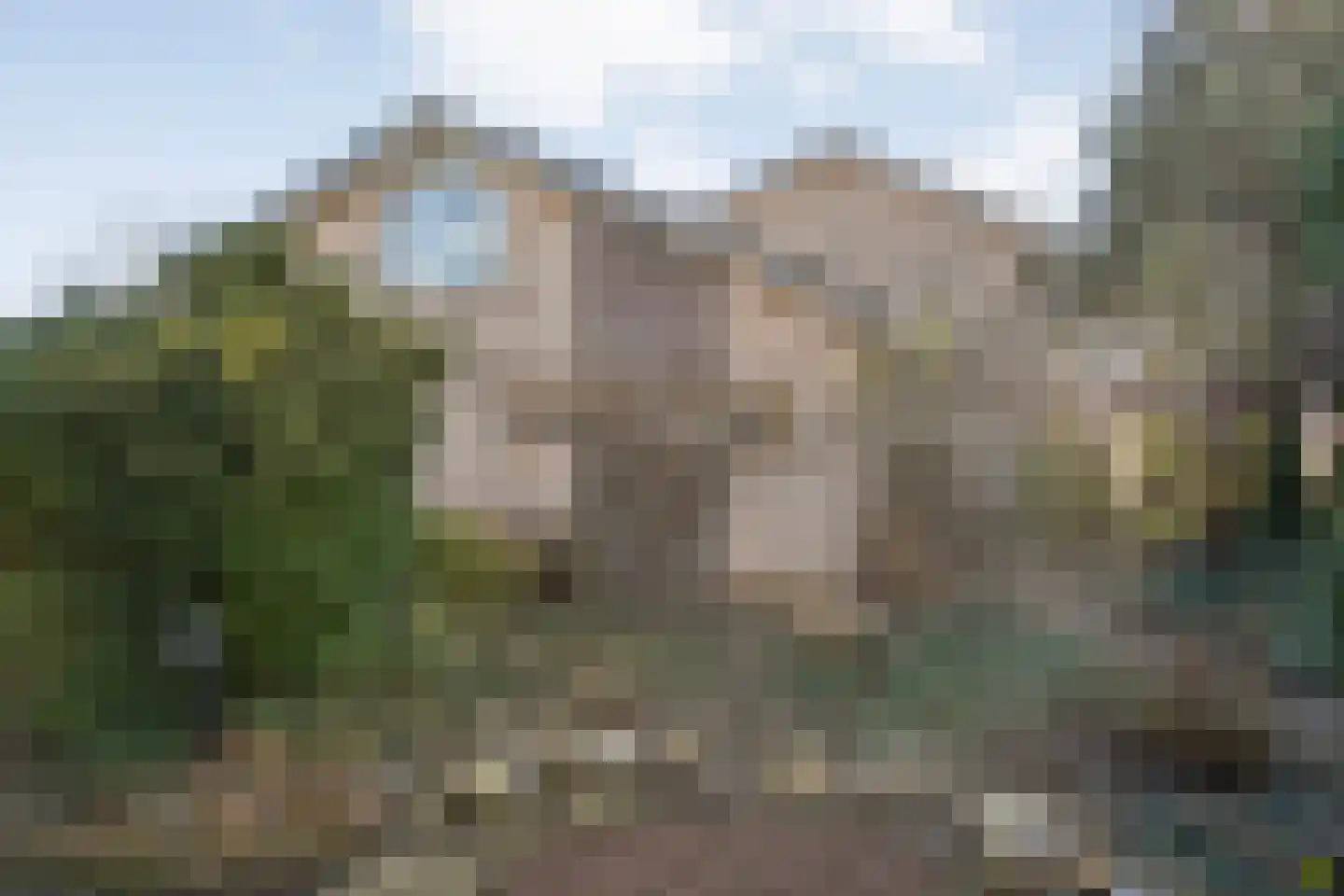 Vriesenhof 15 Dalfsen thumbnail 63