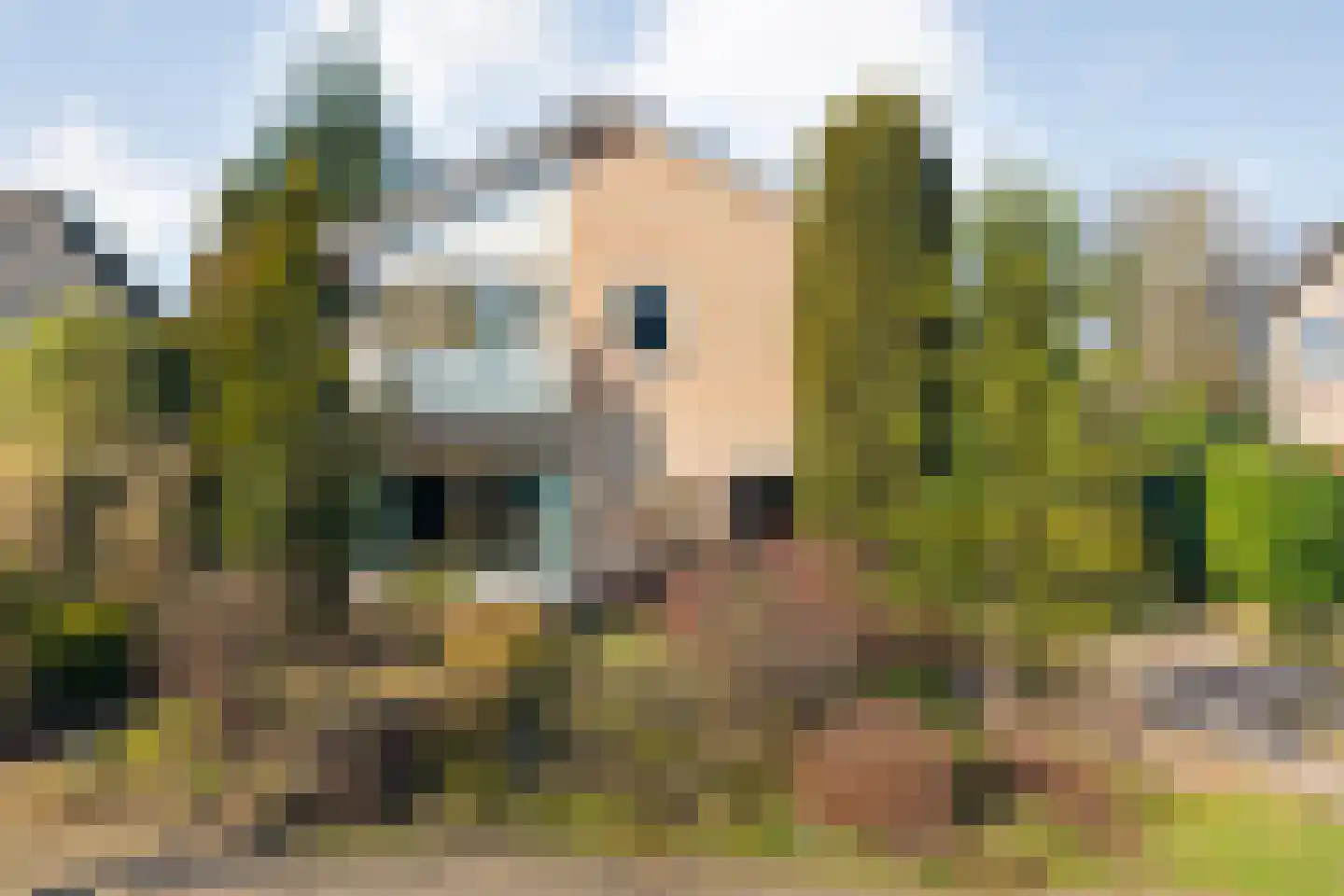 Vriesenhof 15 Dalfsen thumbnail 64