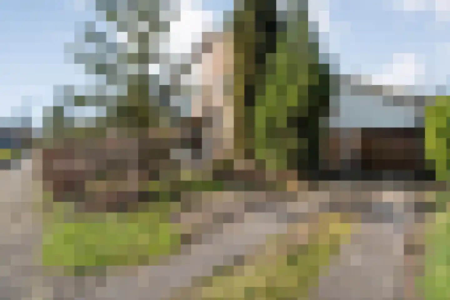 Vriesenhof 15 Dalfsen thumbnail 65
