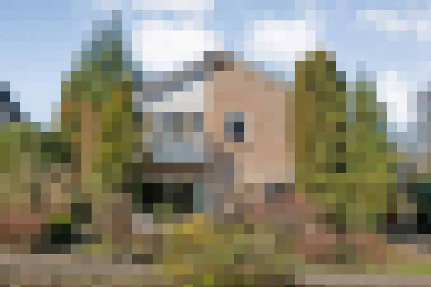 Vriesenhof 15 Dalfsen thumbnail 66