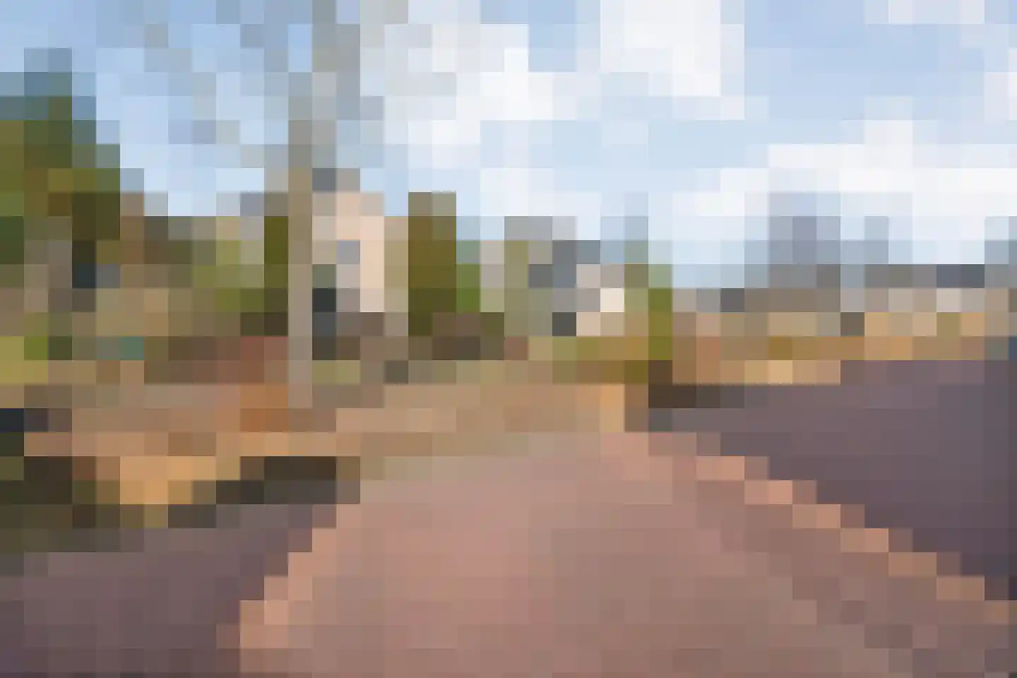 Vriesenhof 15 Dalfsen thumbnail 67
