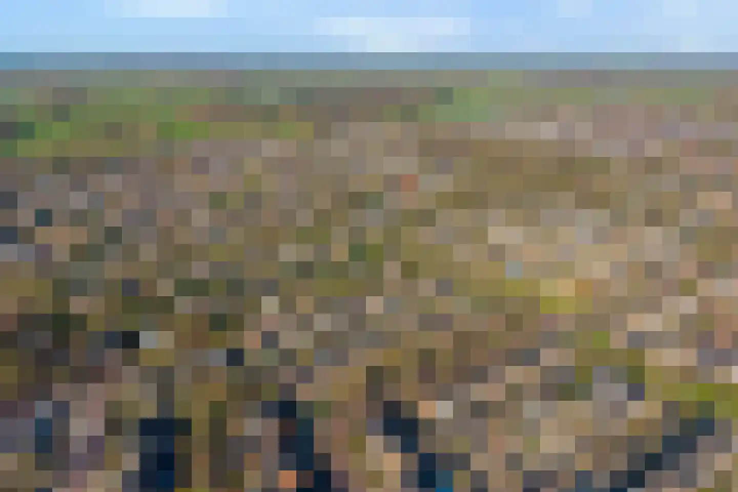Vriesenhof 15 Dalfsen thumbnail 68