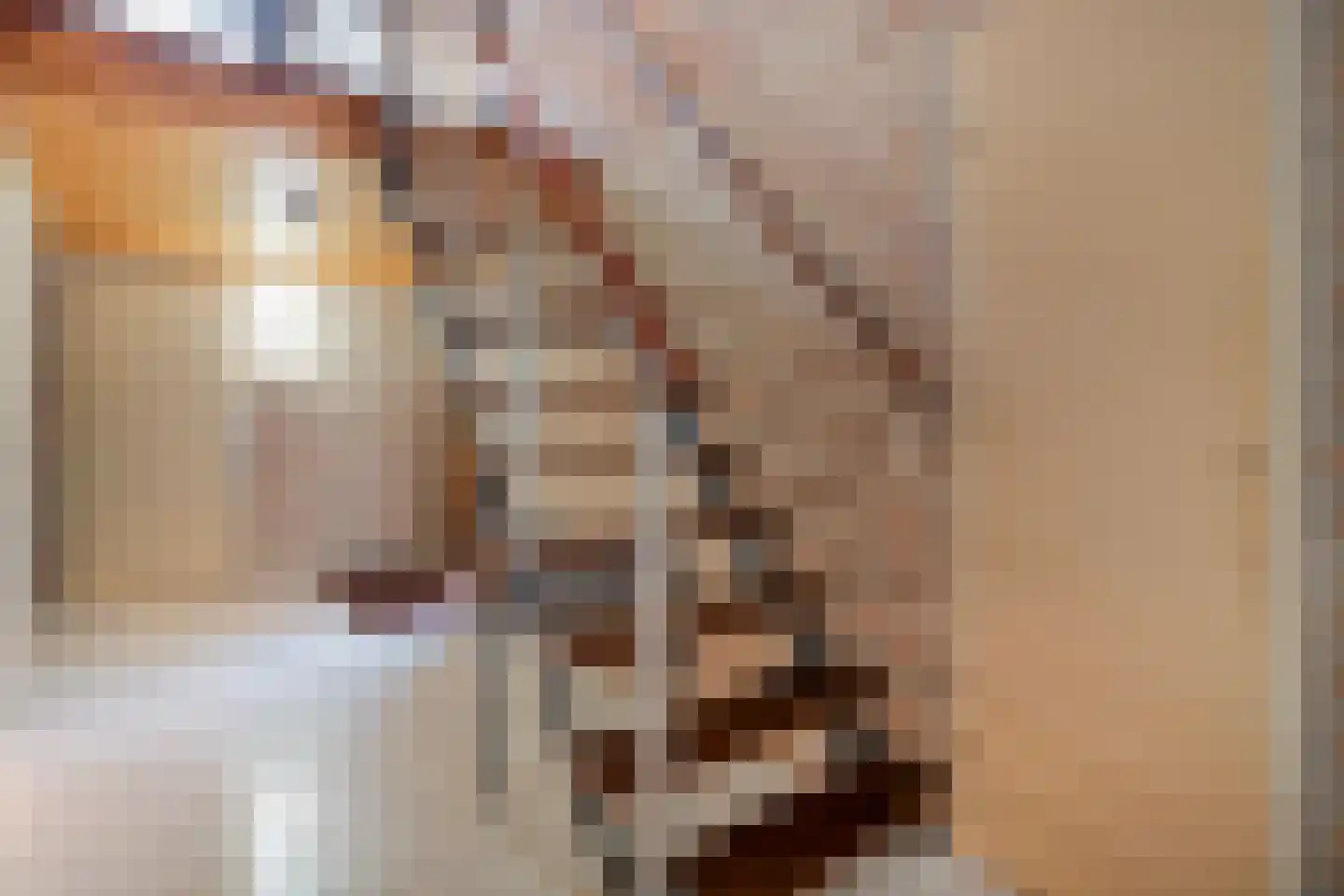 Vriesenhof 15 Dalfsen thumbnail 7