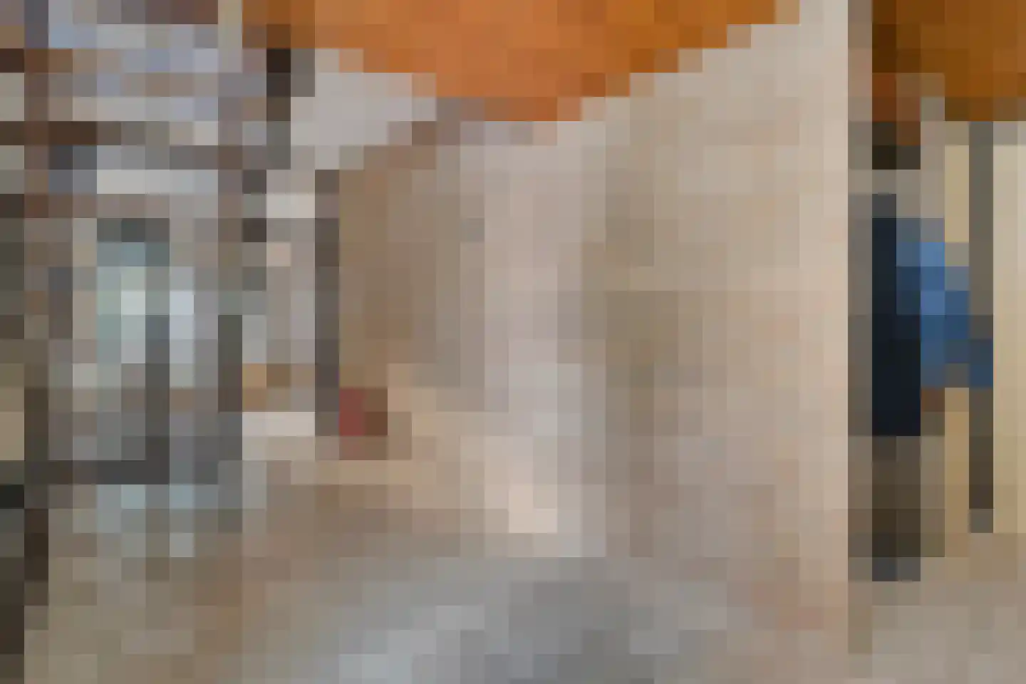 Vriesenhof 15 Dalfsen thumbnail 8