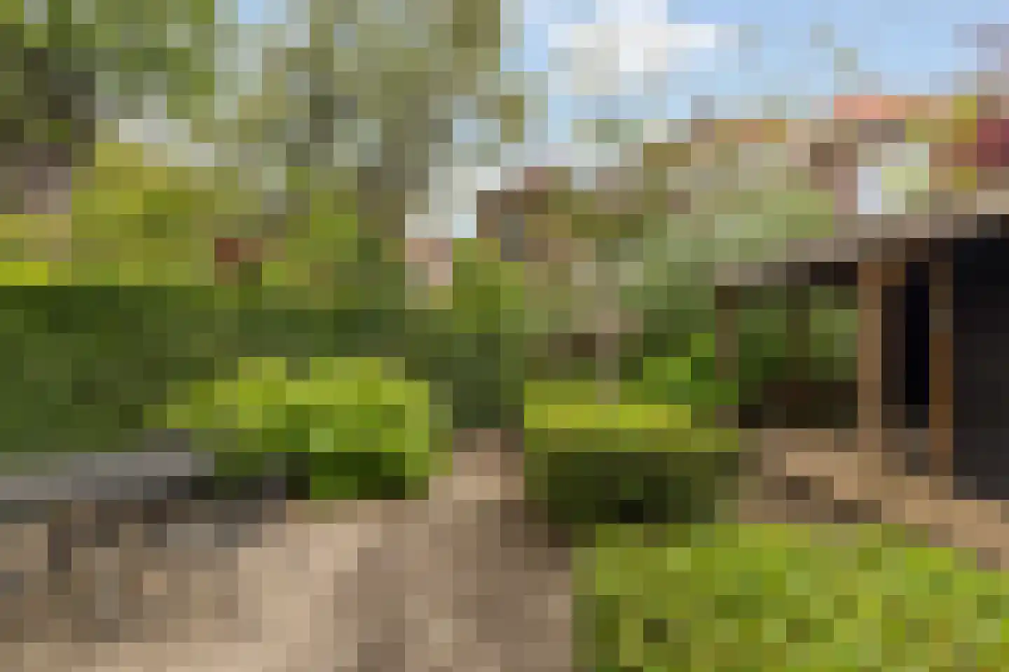 Vriesepark 3 Dordrecht thumbnail 5