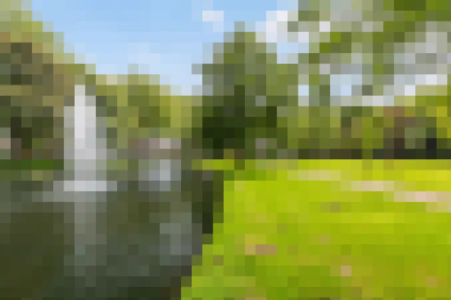Vriesepark 3 Dordrecht thumbnail 52