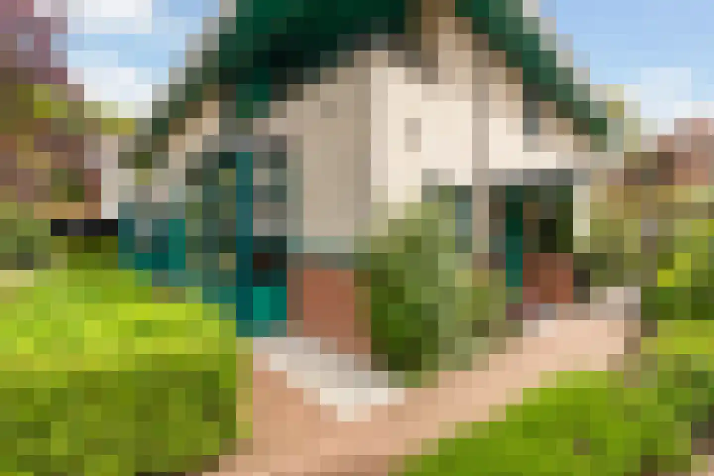 Vriesepark 3 Dordrecht thumbnail 7