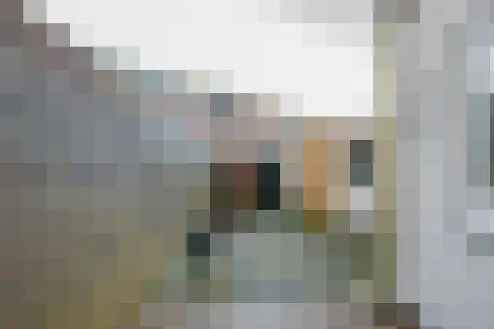 Vrieseplein 14 Dordrecht thumbnail 19