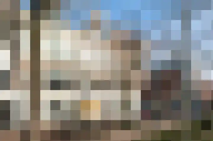 Vrieseplein 14 Dordrecht thumbnail 65