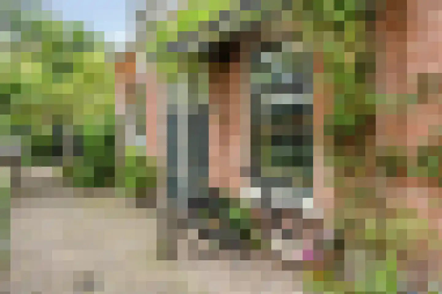 Vriesepoortshof 11 Dordrecht thumbnail 8