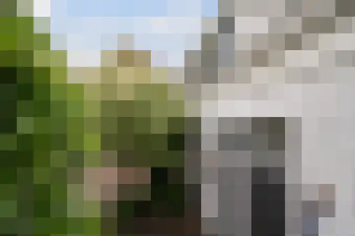 Vriesepoortshof 17 Dordrecht thumbnail 32