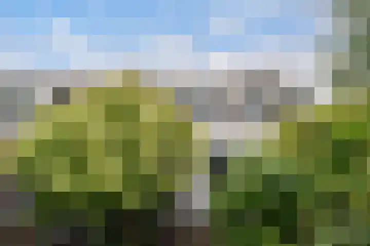 Vriesepoortshof 17 Dordrecht thumbnail 36