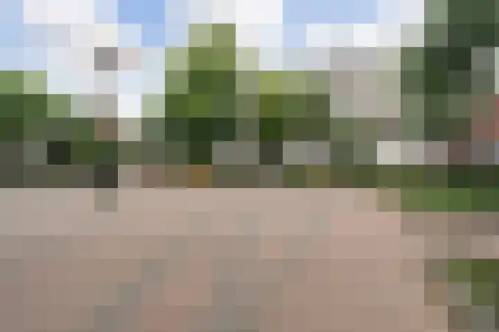 Vriesepoortshof 17 Dordrecht thumbnail 37
