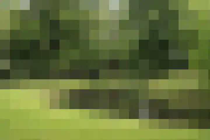 Vriesepoortshof 17 Dordrecht thumbnail 44