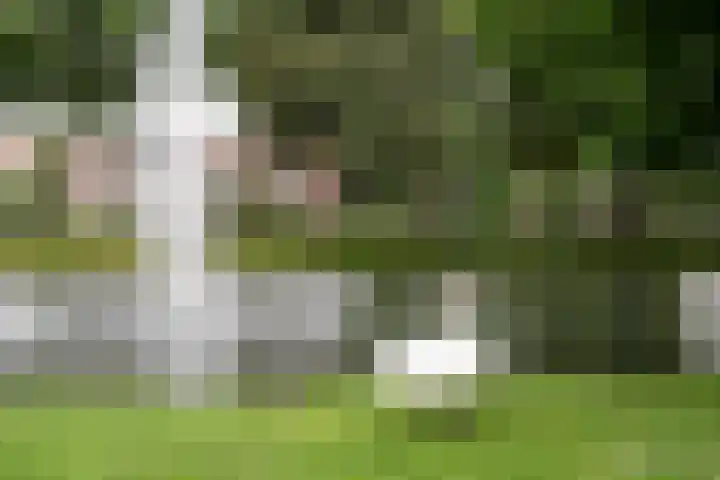 Vriesepoortshof 17 Dordrecht thumbnail 45
