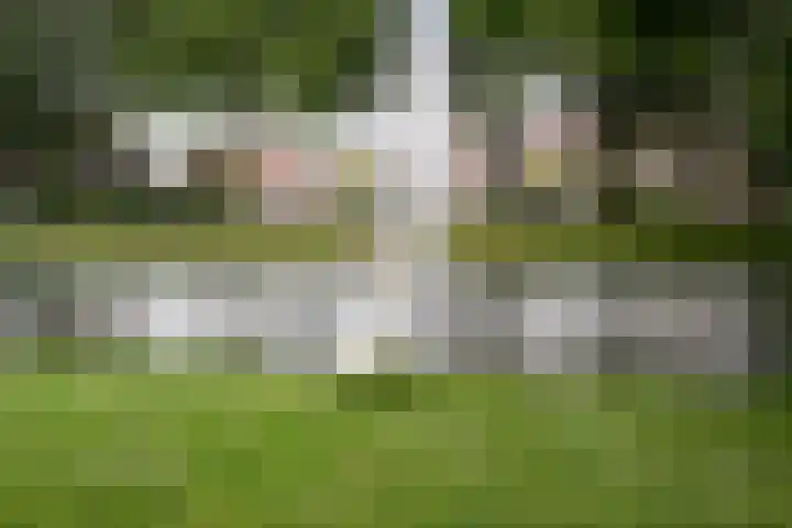 Vriesepoortshof 17 Dordrecht thumbnail 46