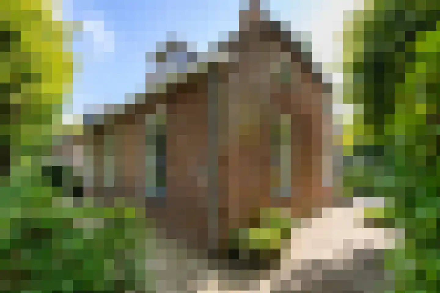 Vrieserweg 8 Peize thumbnail 10
