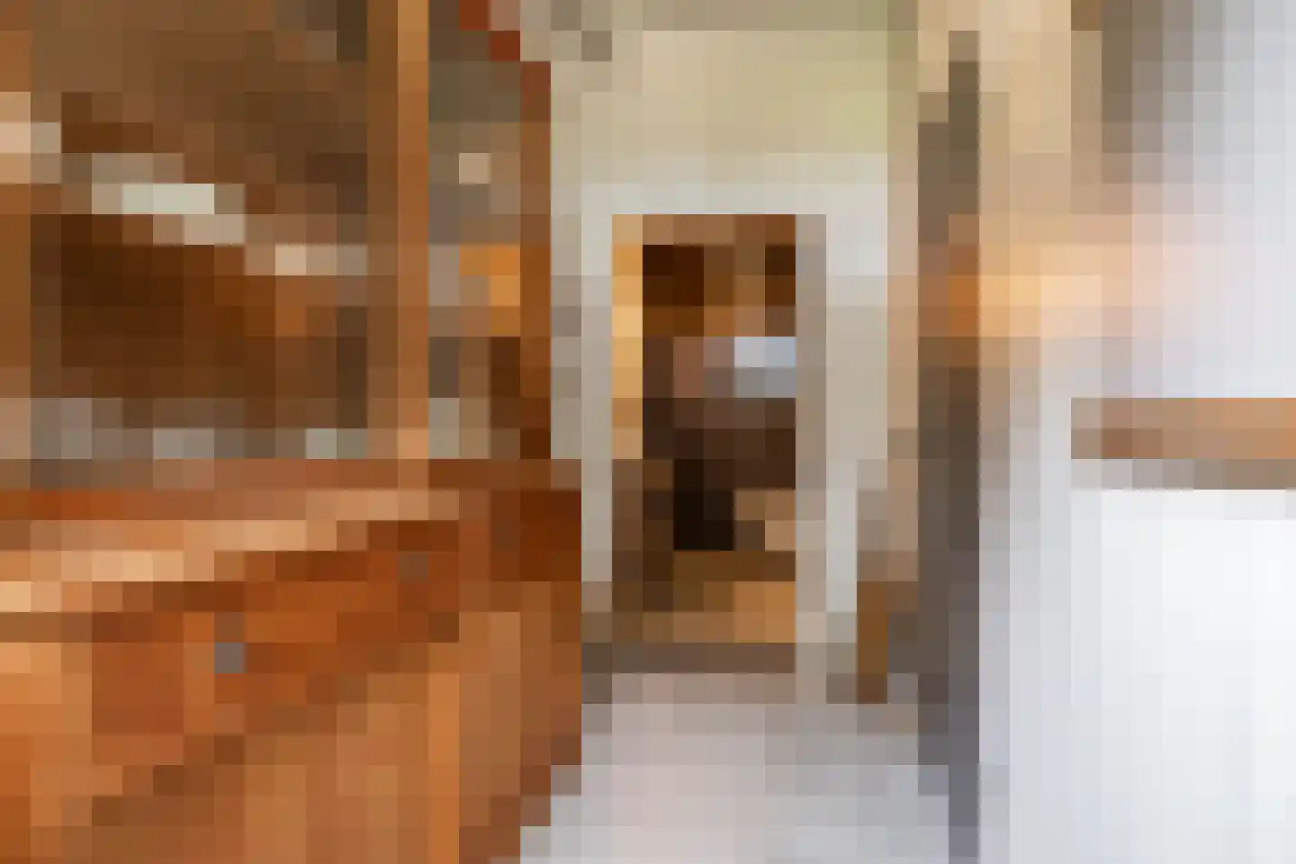 Vrieserweg 8 Peize thumbnail 30
