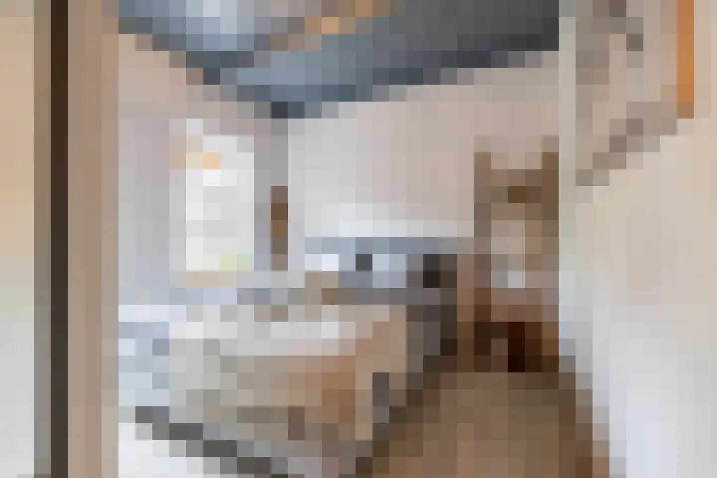 Vrieserweg 8 Peize thumbnail 34