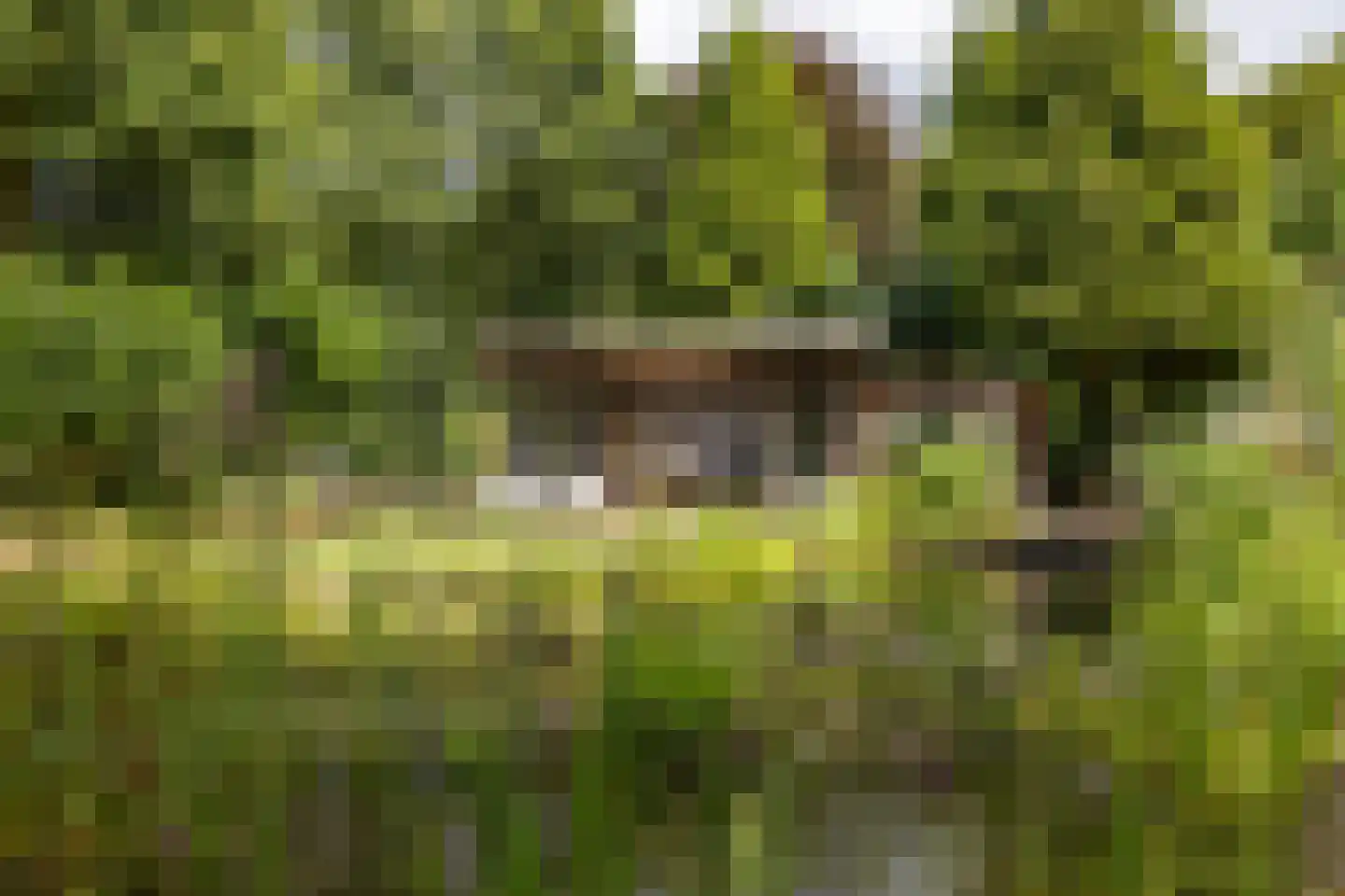 Vrieserweg 8 Peize thumbnail 4