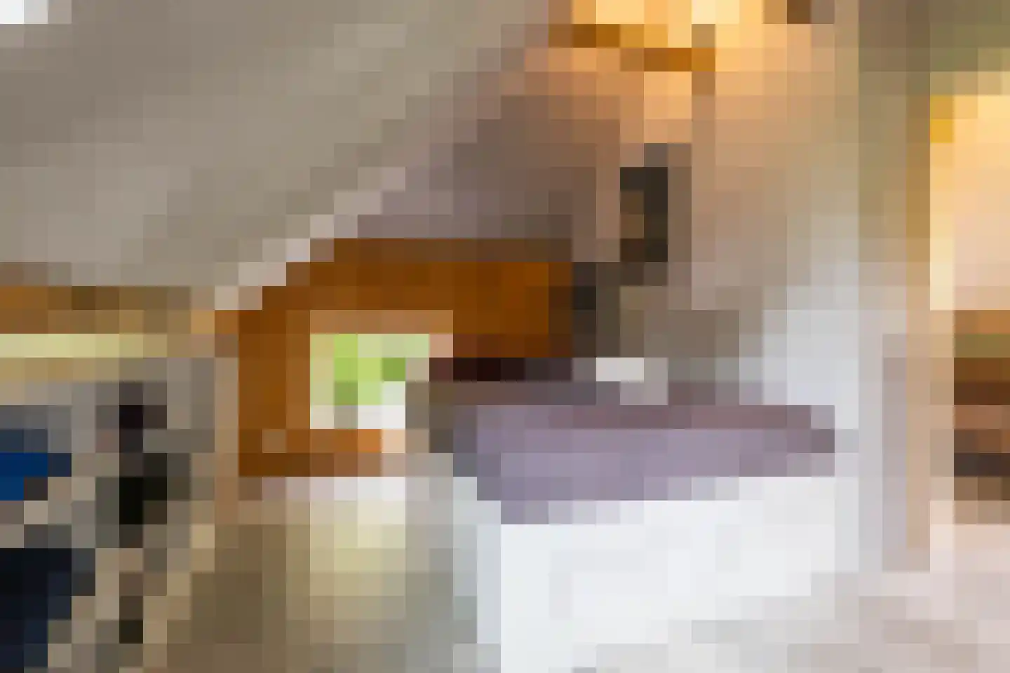 Vrieserweg 8 Peize thumbnail 41