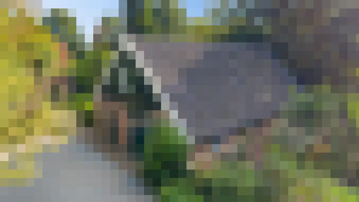 Vrieserweg 8 Peize thumbnail 47