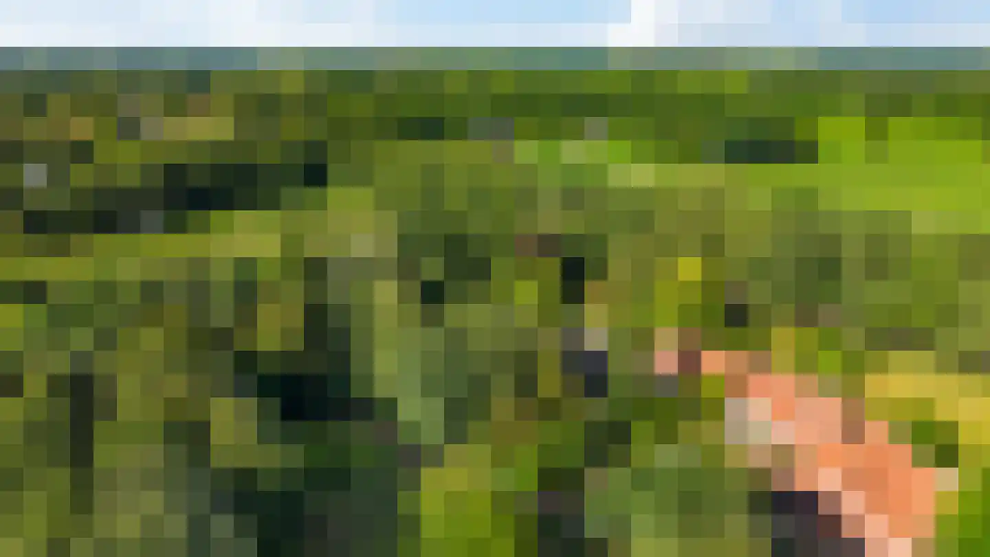 Vrieserweg 8 Peize thumbnail 5