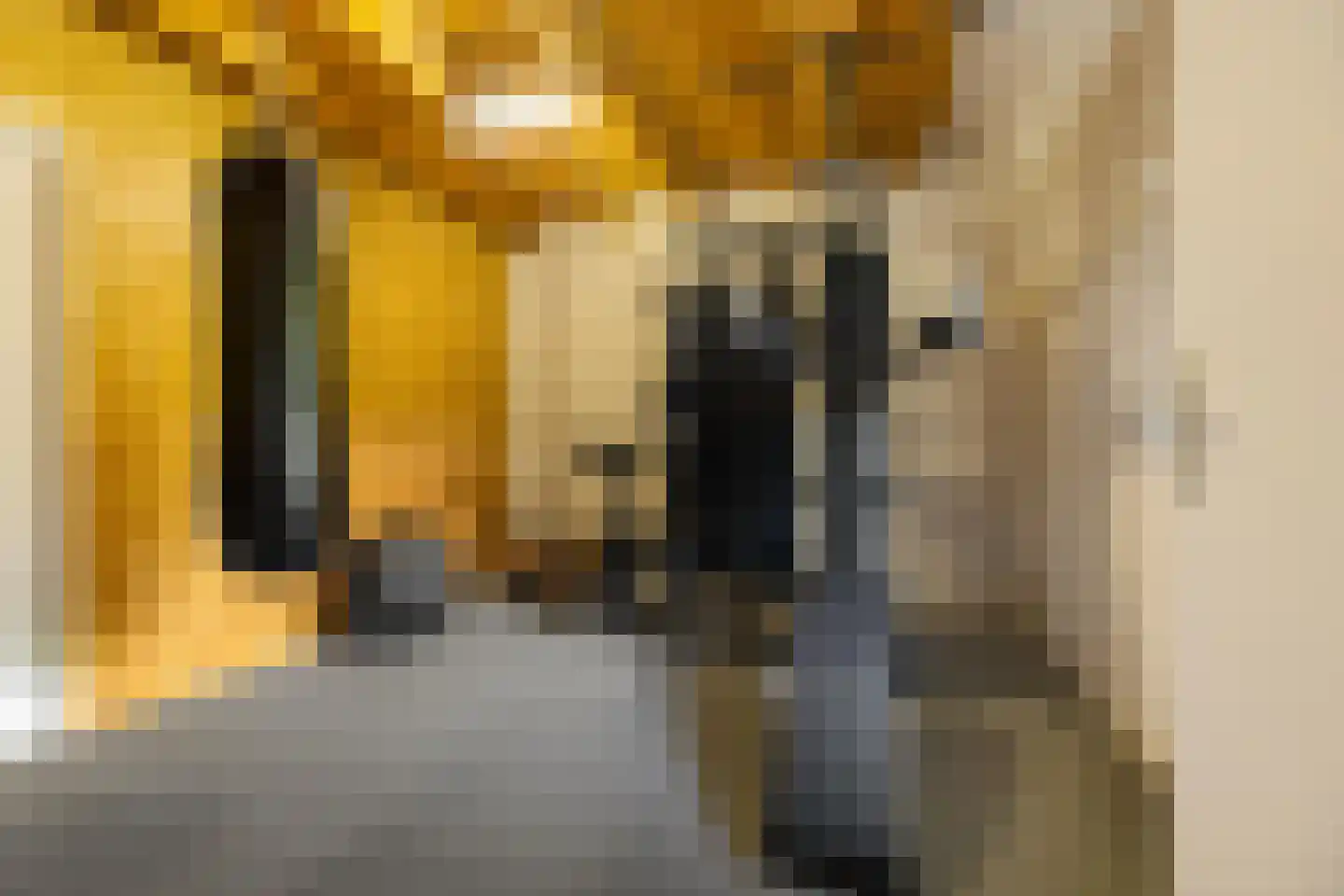 Vrieserweg 8 Peize thumbnail 53