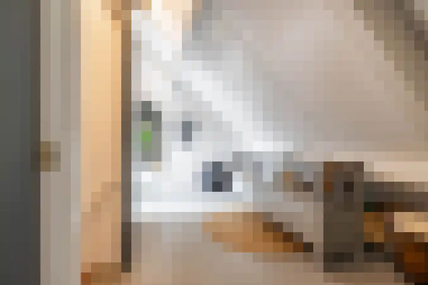 Vrieserweg 8 Peize thumbnail 58