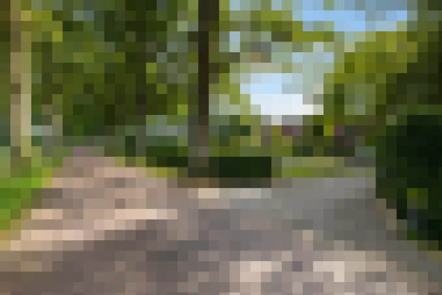 Vrieserweg 8 Peize thumbnail 6