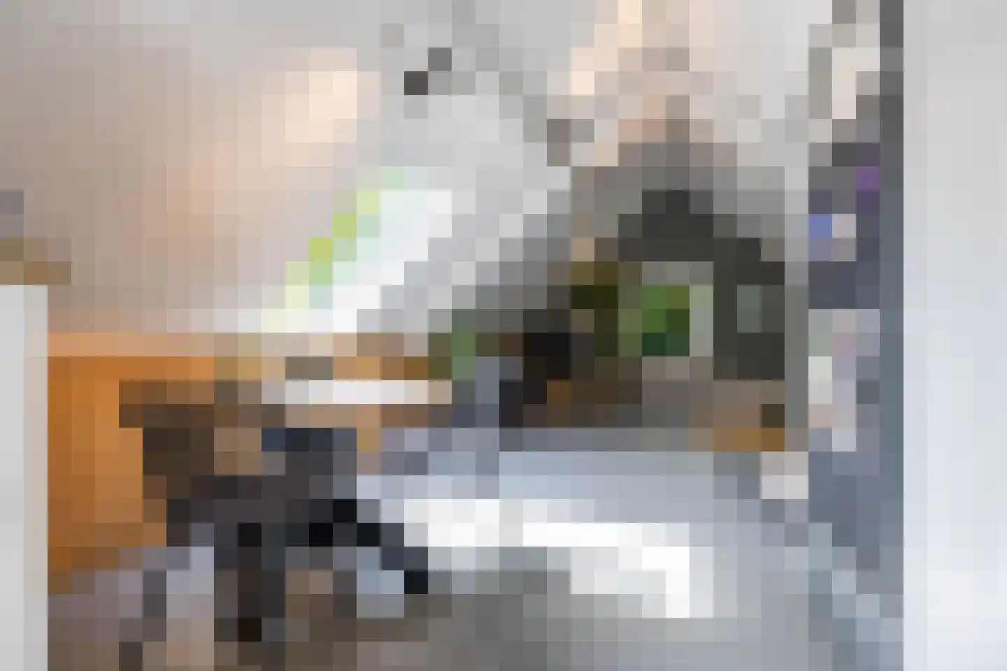 Vrieserweg 8 Peize thumbnail 60