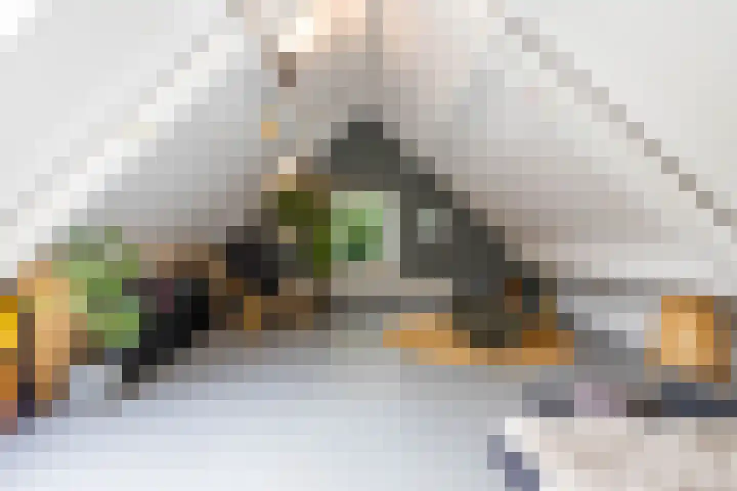 Vrieserweg 8 Peize thumbnail 63